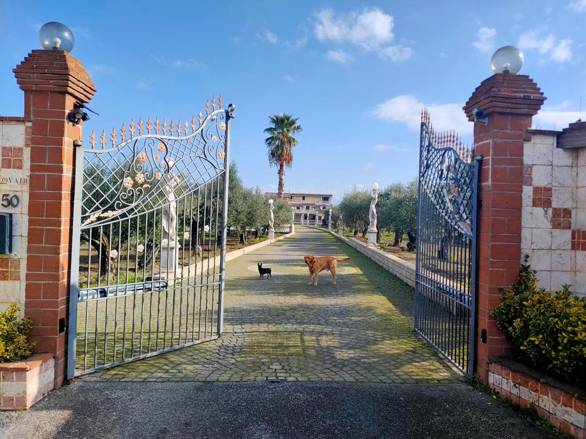 Appartamento Giona