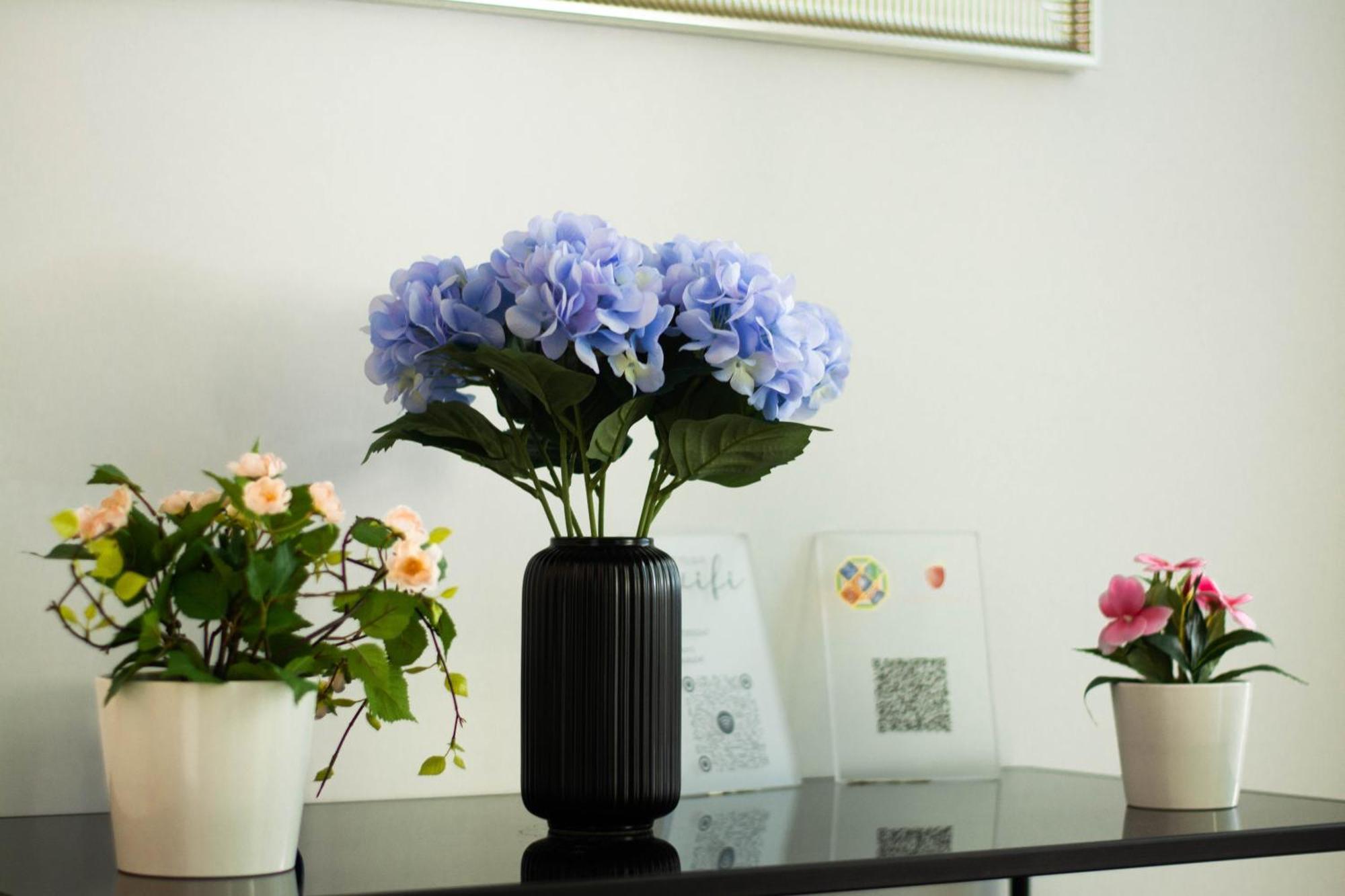 Apartment Domus Gianicolo 2b Rome