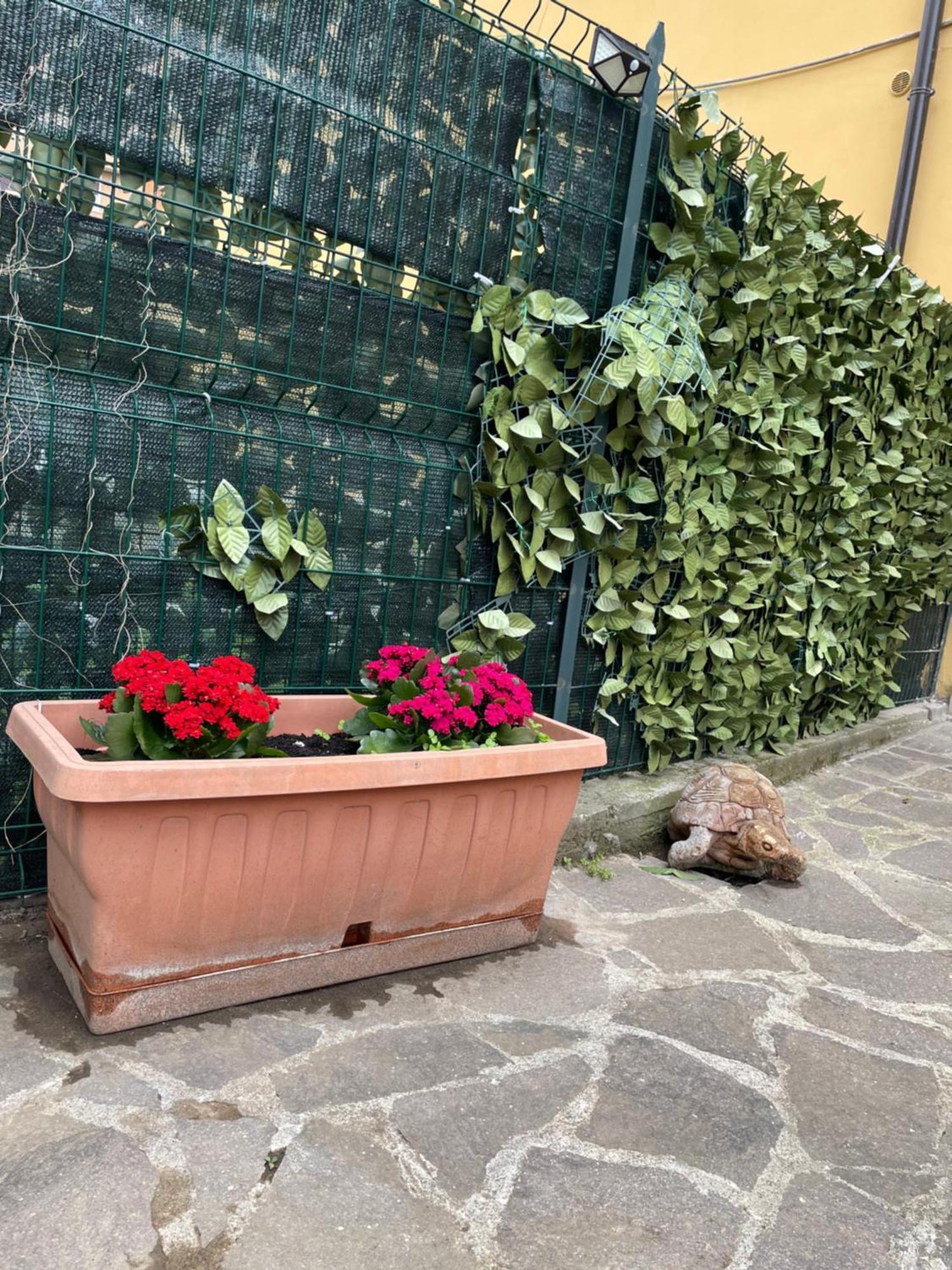 Appiolatino - Il Fenicottero * Roma