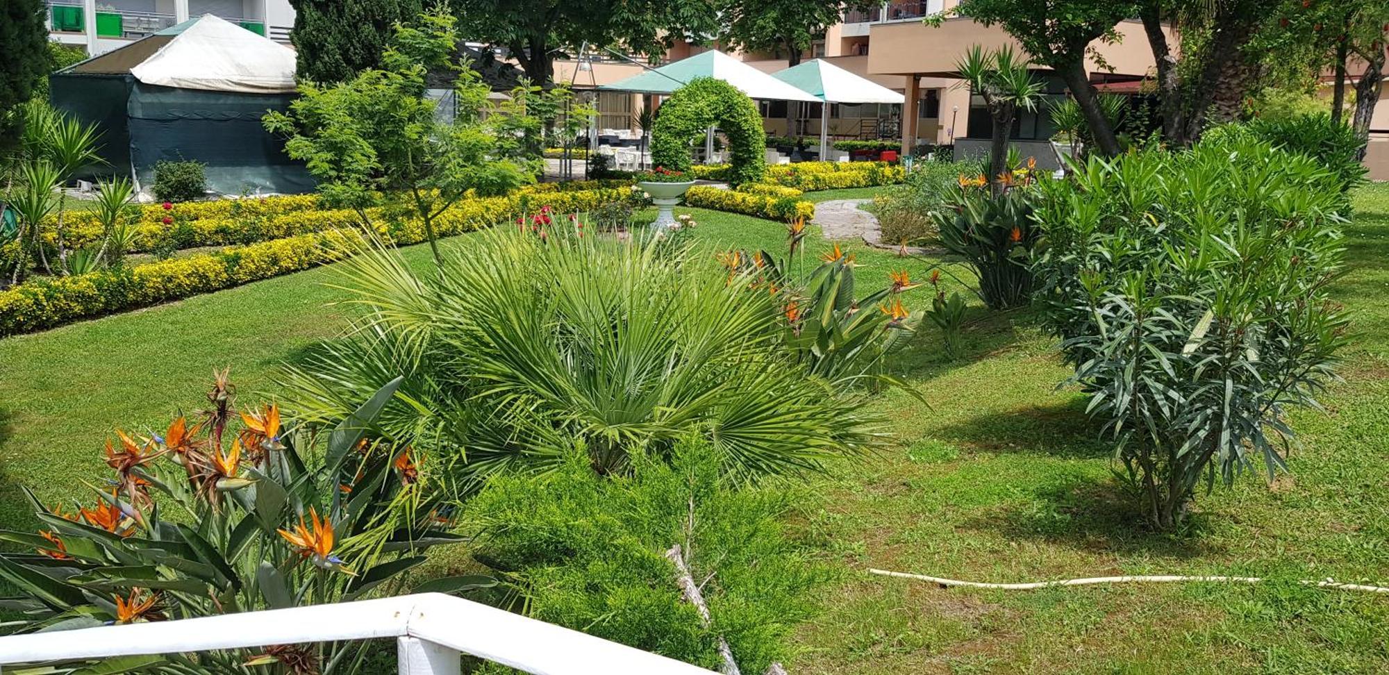 Oasis Roma
