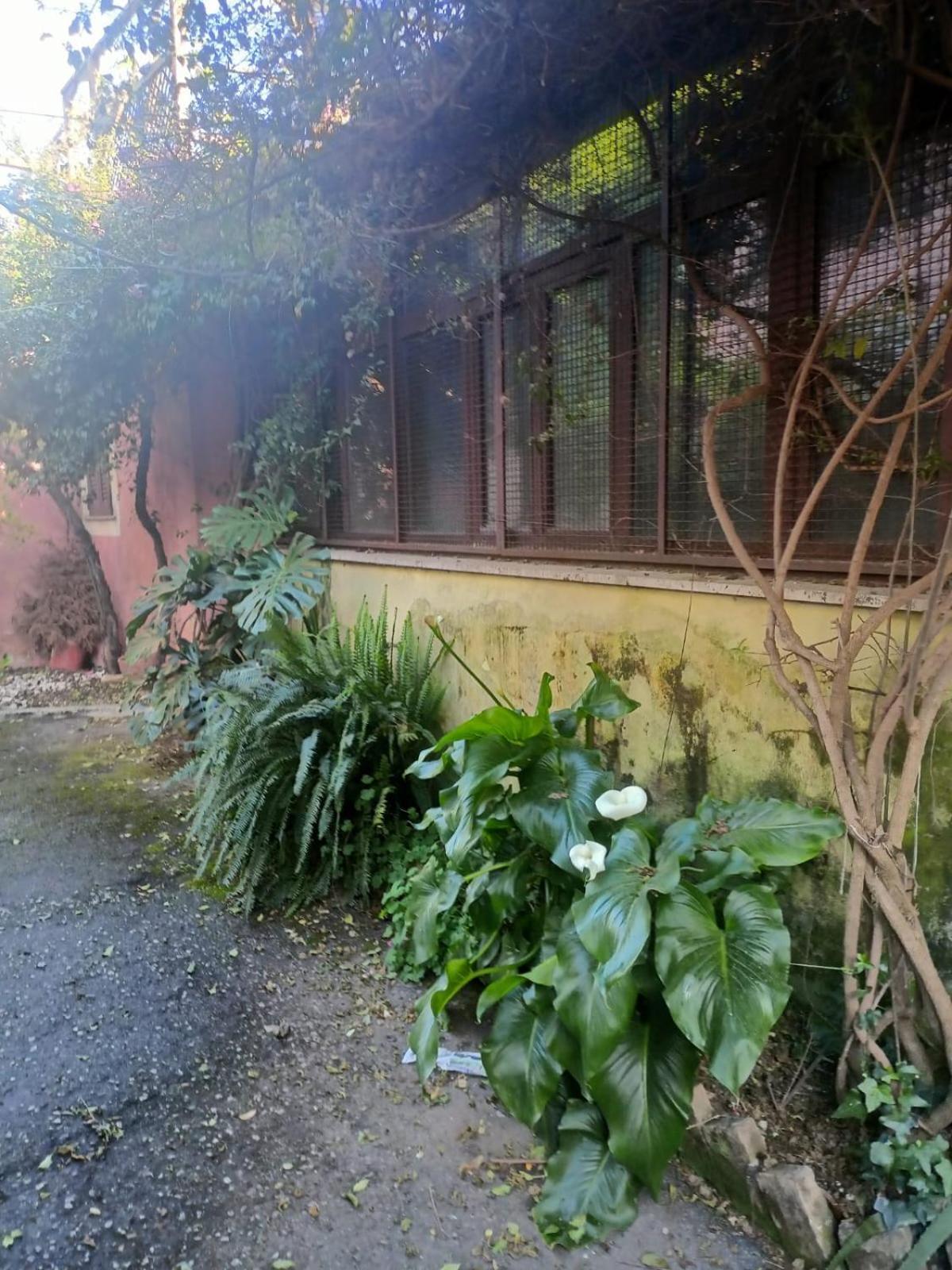 Feriehus Terrazza Quintili - A Un Passo Dal Centro Di