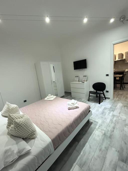 “serendipity” N&l Vatican Museum Apartment *