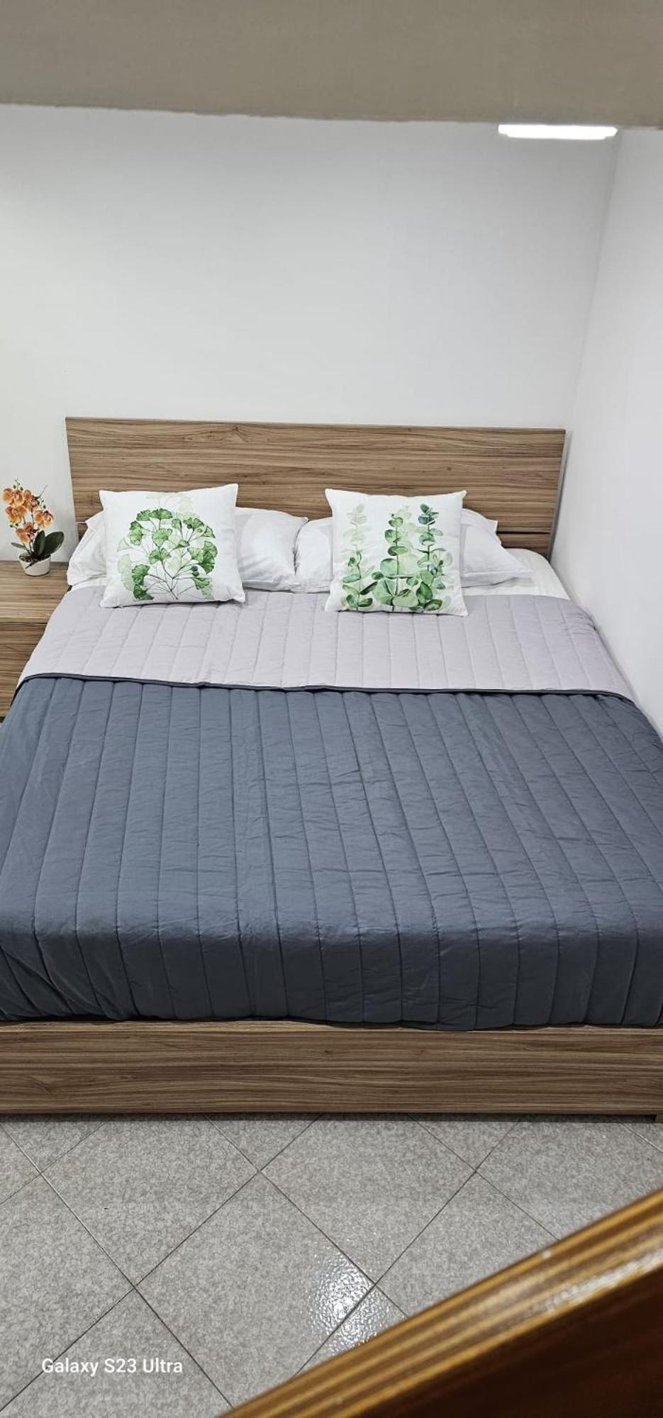 Robin 2 Apartamento