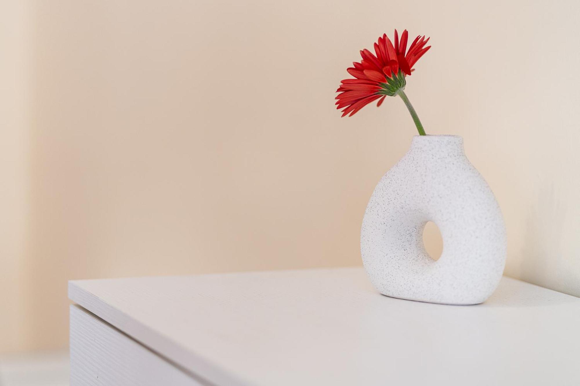 Apartamento Domus Leo
