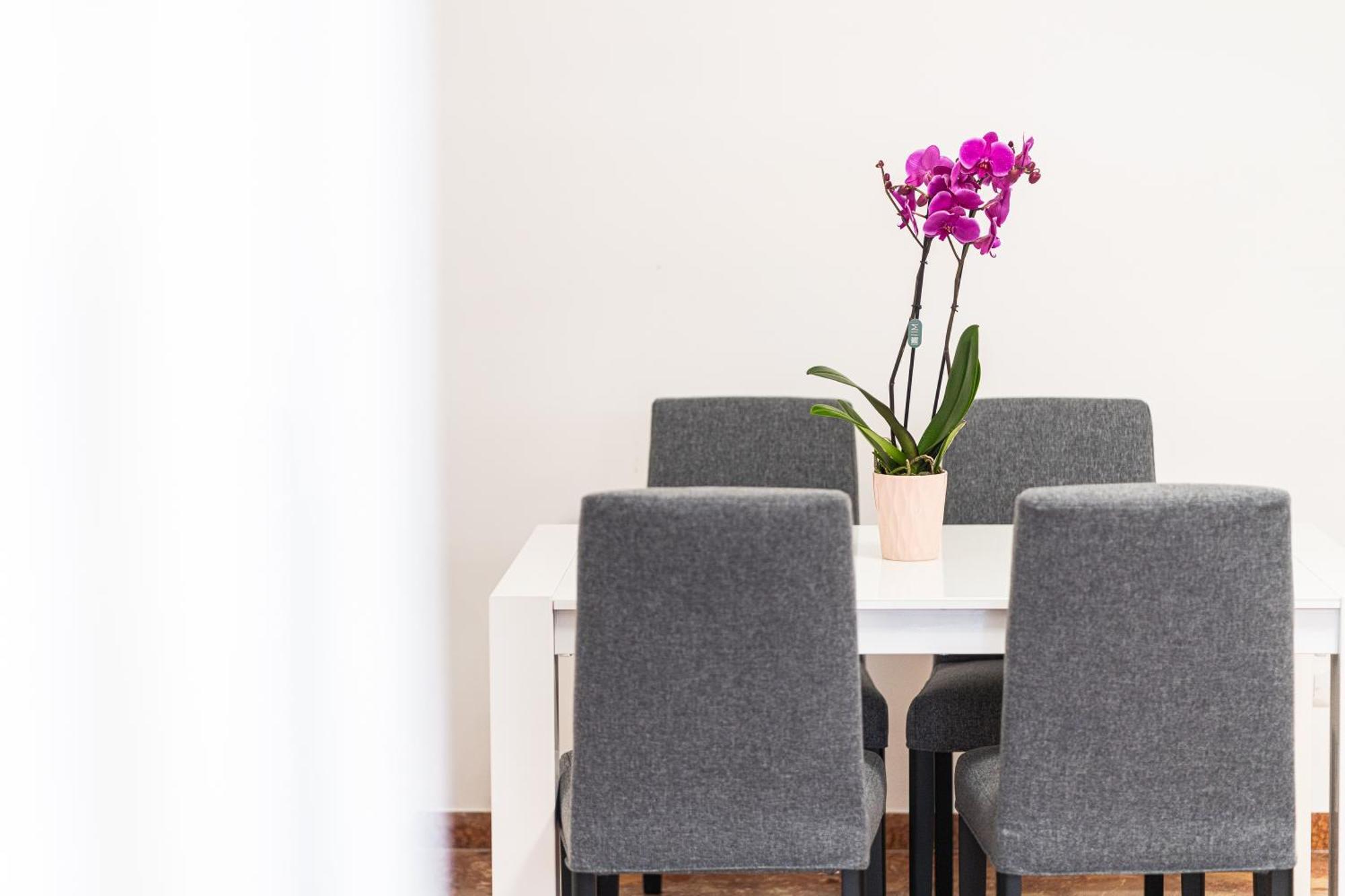 Domus Leo Apartamento