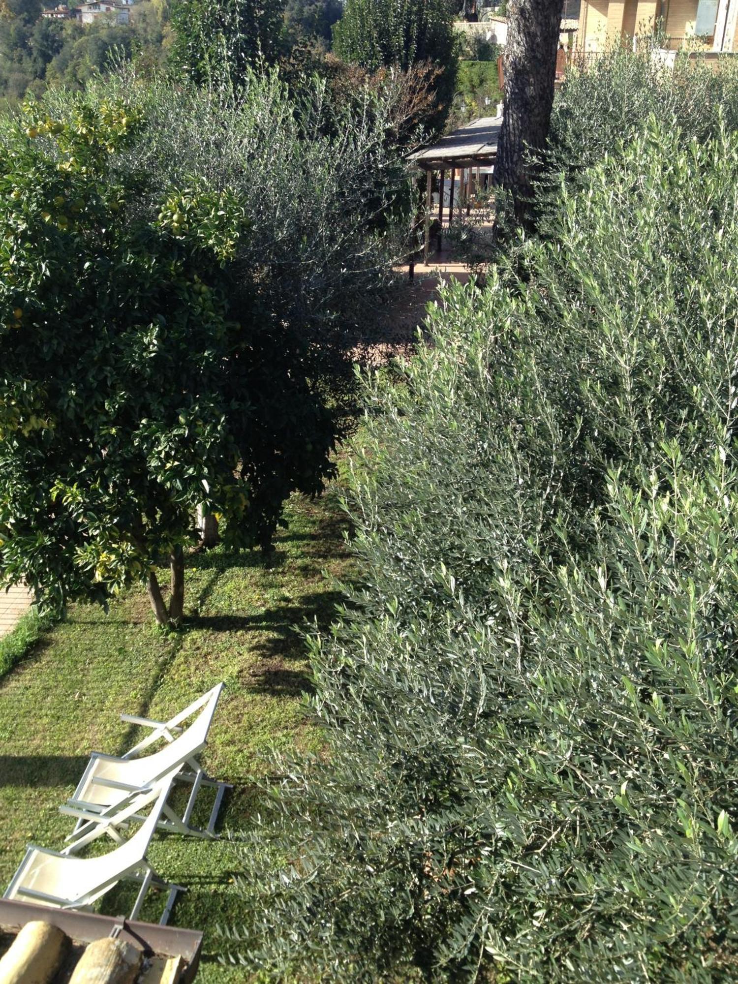 Tempio Di Apollo Hotel Roma
