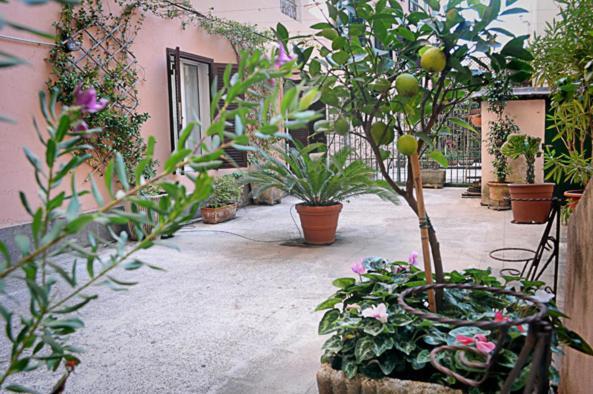 Apartment Minerva House Rom