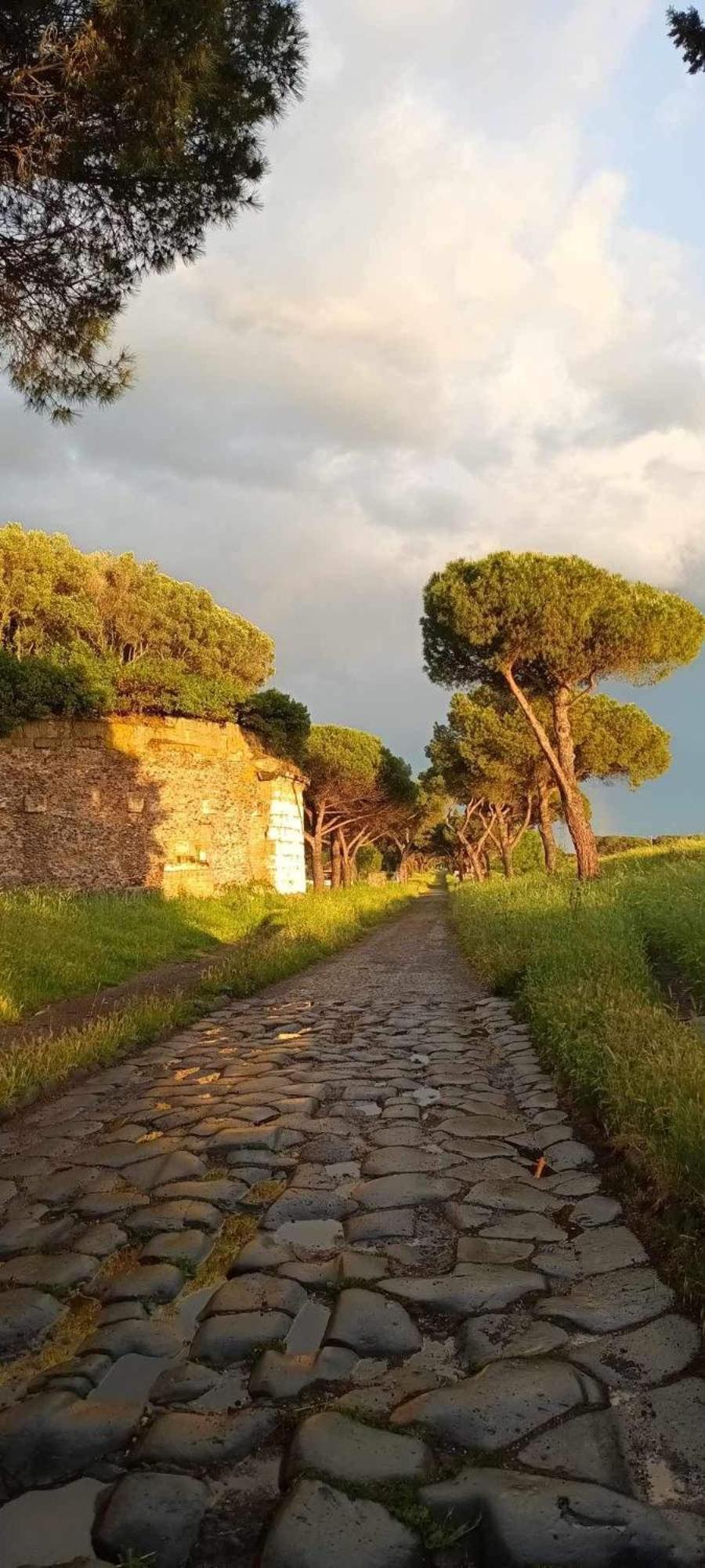 Questa Casa Non E Un Ciu-atr 9390-9 *