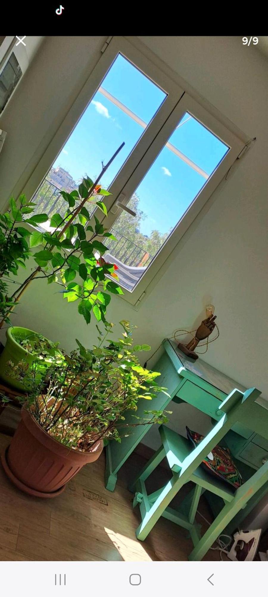 Homestay Stanza In Superattico, Terrazzato, Luminoso, Accogliente, Bagno Privato *