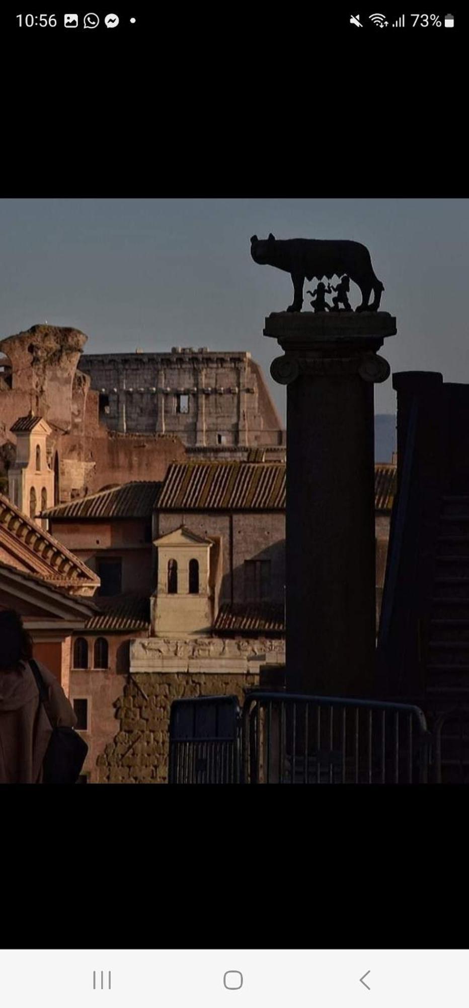 Vatican Domus Romuli Roma