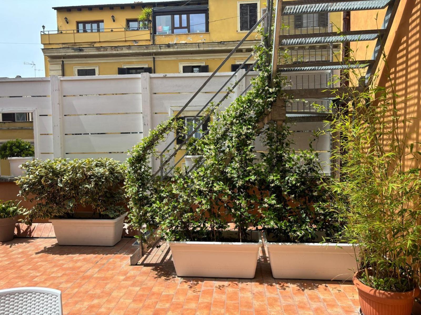 Rooftop St. Peter Apartment