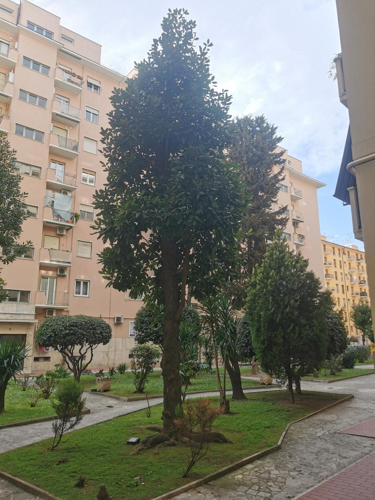 Appartamento Don Bosco Near Metro A