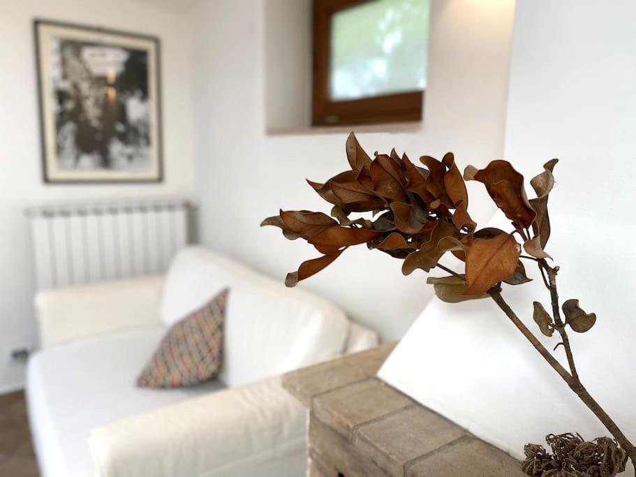 Casetta Indipendente Con Cortile E Parcheggio Leilighet