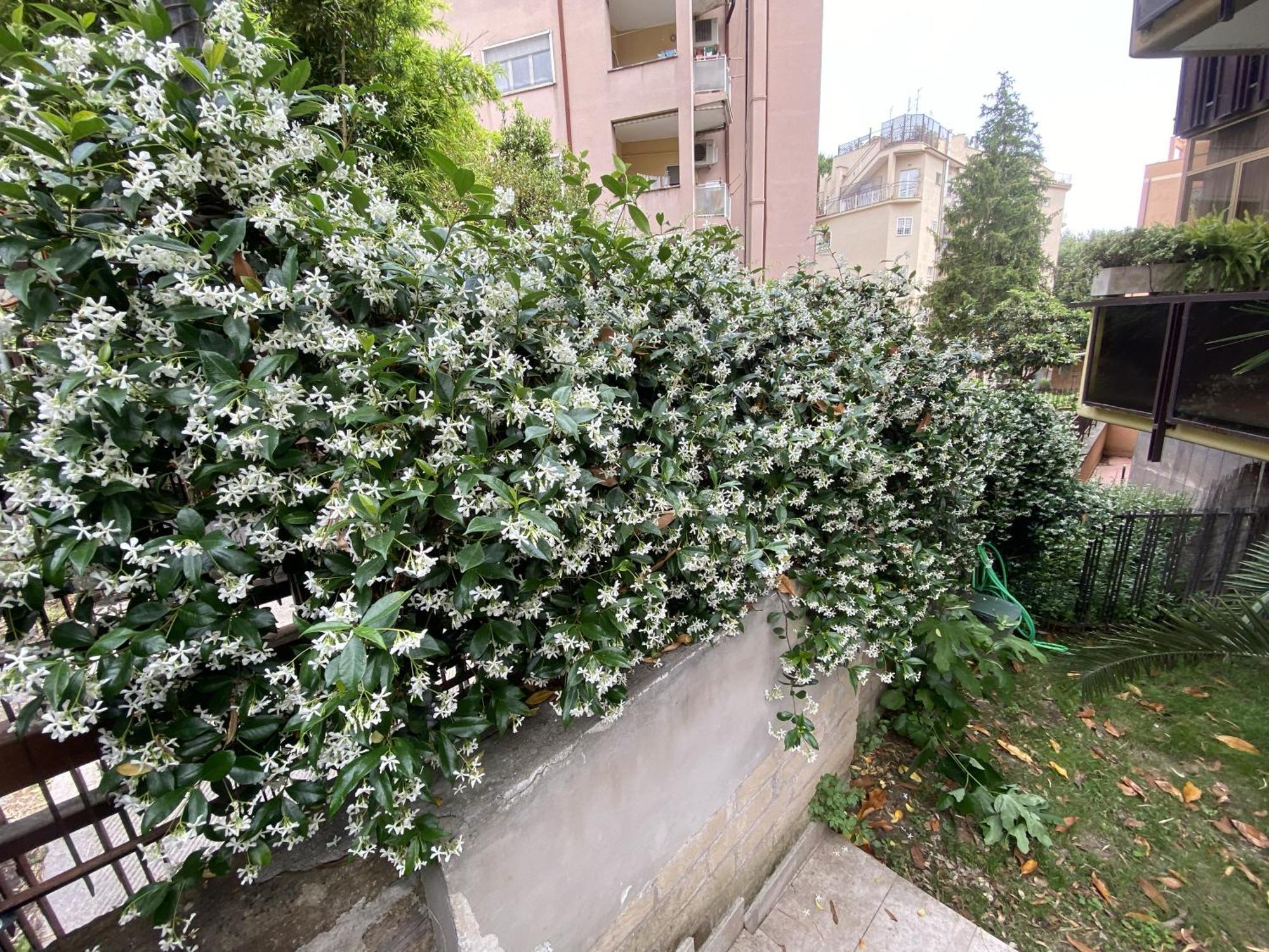 Casa vacanze Garden House - Casa Con Giardino Privato *