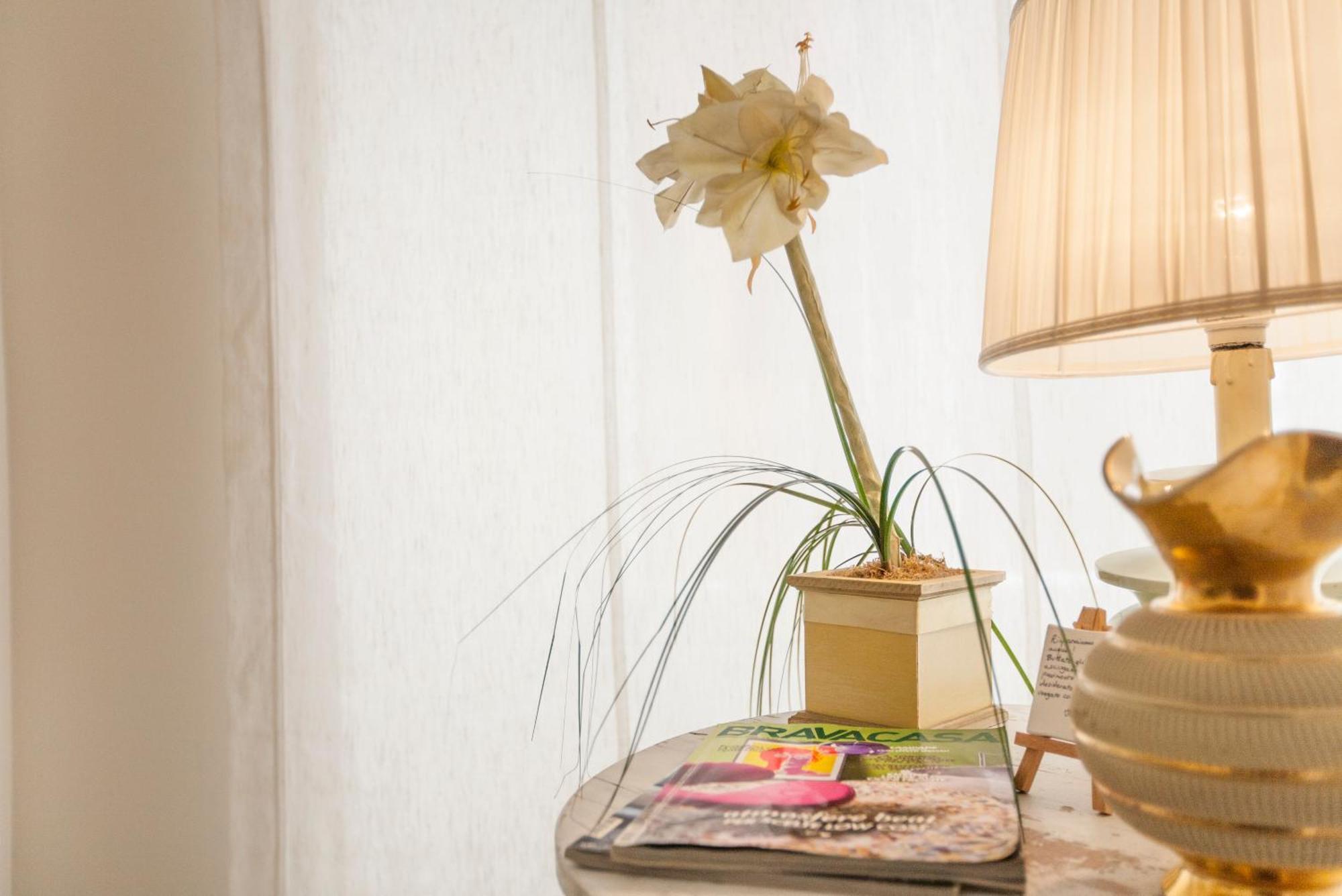 Guest house Babbo