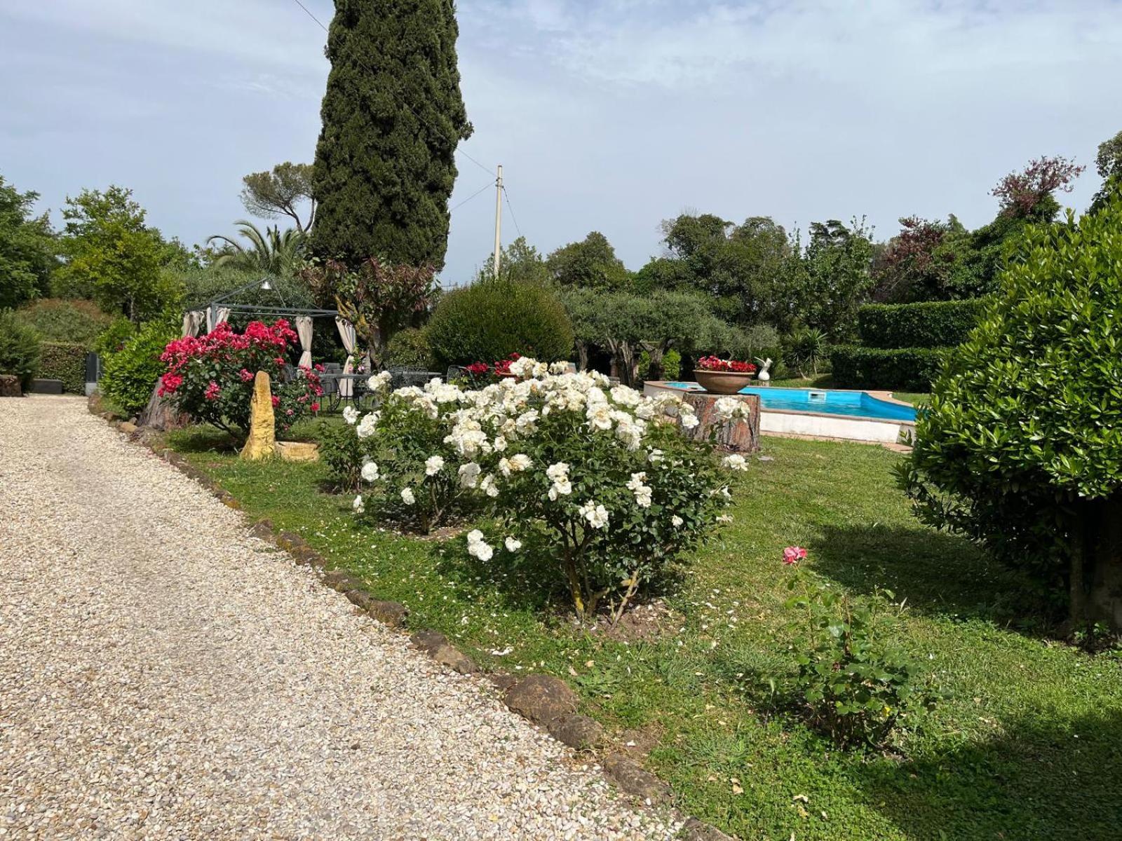 Apartamento Loft Appia Antica Donna Eugenia *