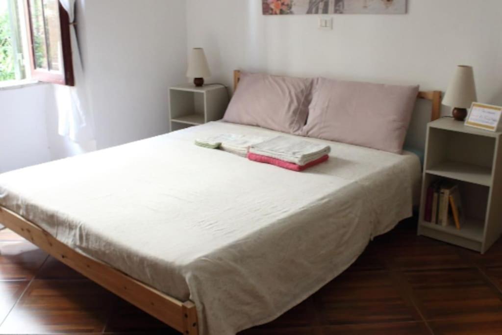 L'appartamento Di Carla Zona Storica Roma
