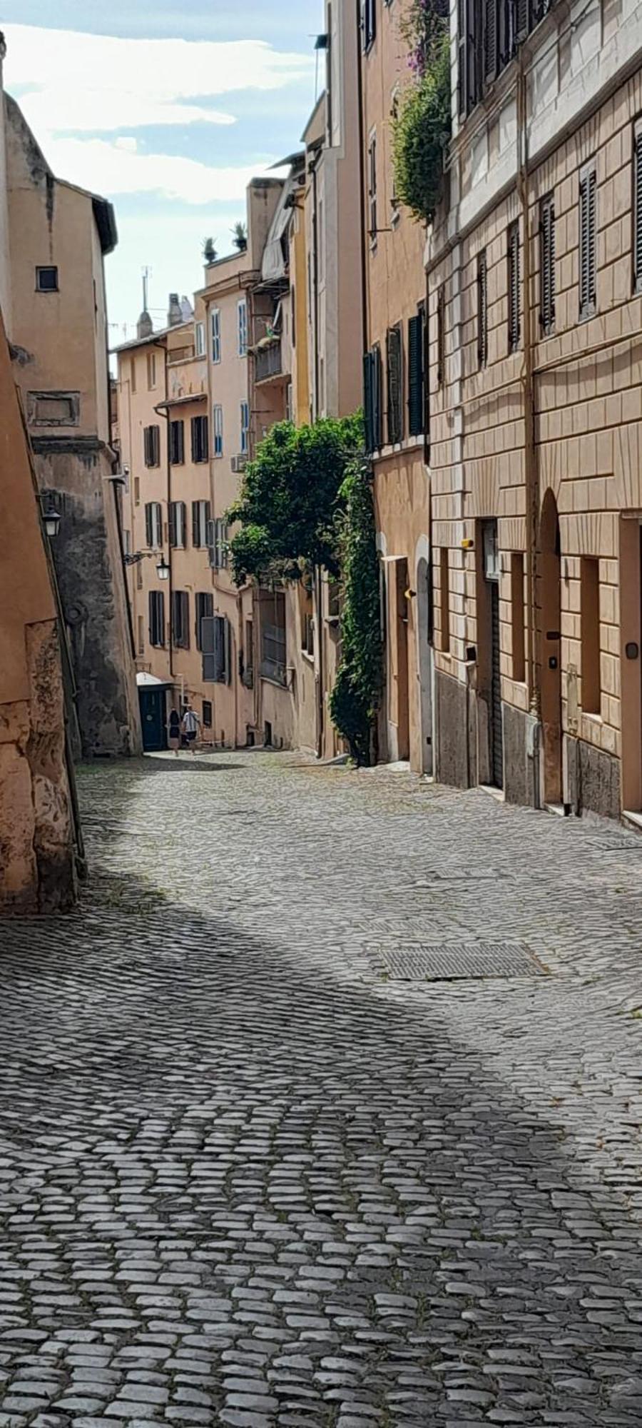 Apartment Trevi Smart Flat Rom