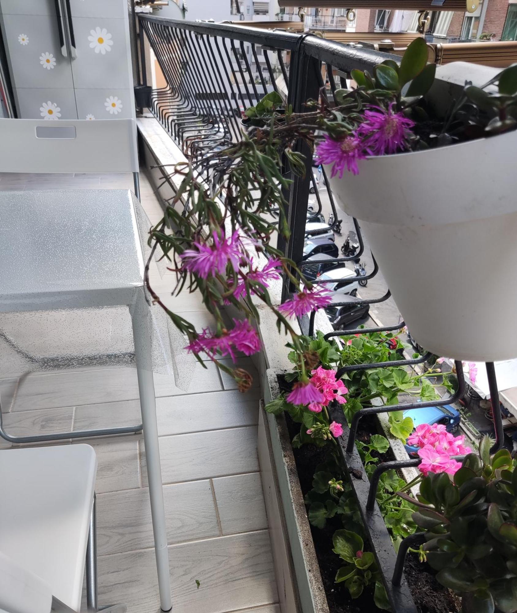 Apartamento Roman's House Roma