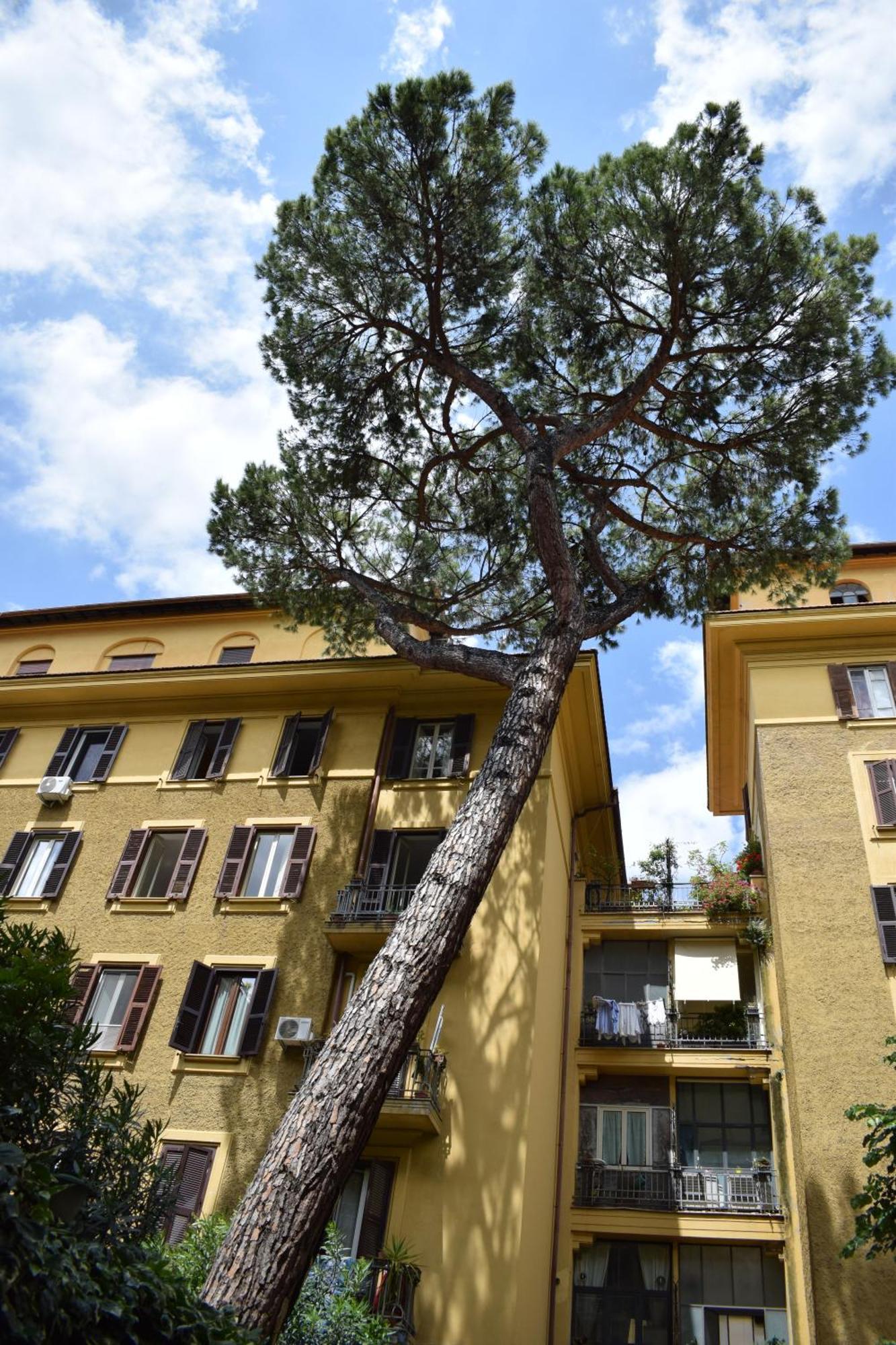 Apartamento Mazzini