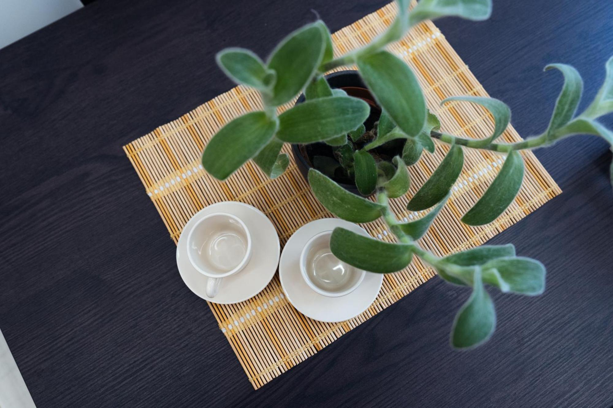 Domus Clelia Apartment