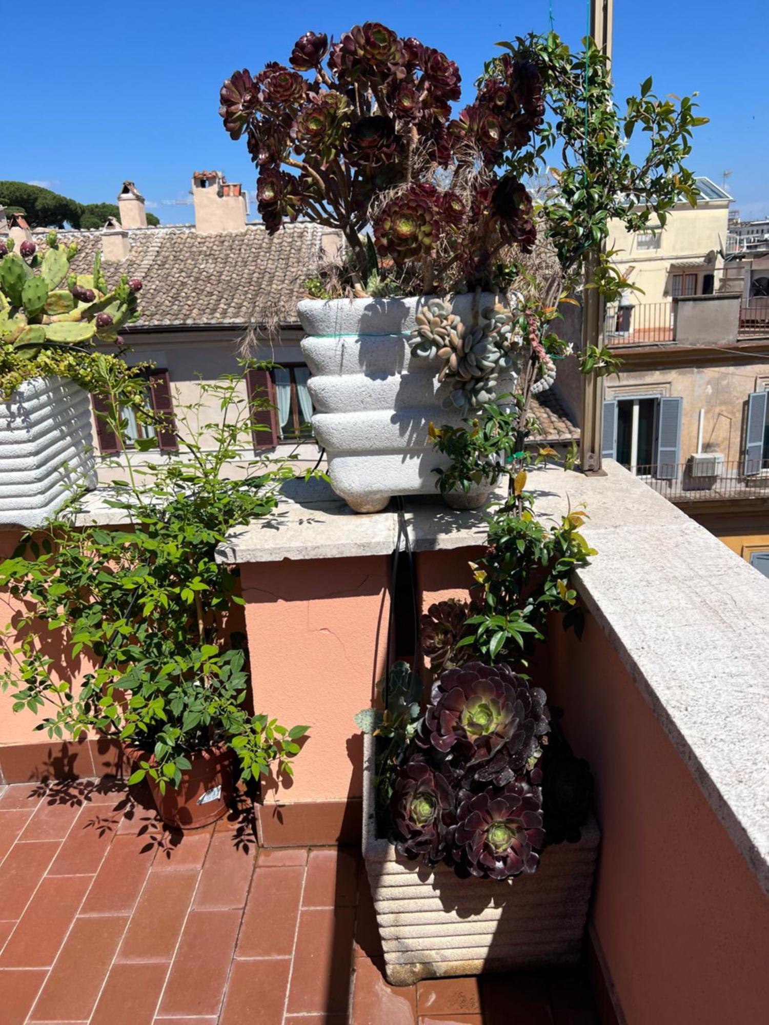 Spanish Steps View Apartamento