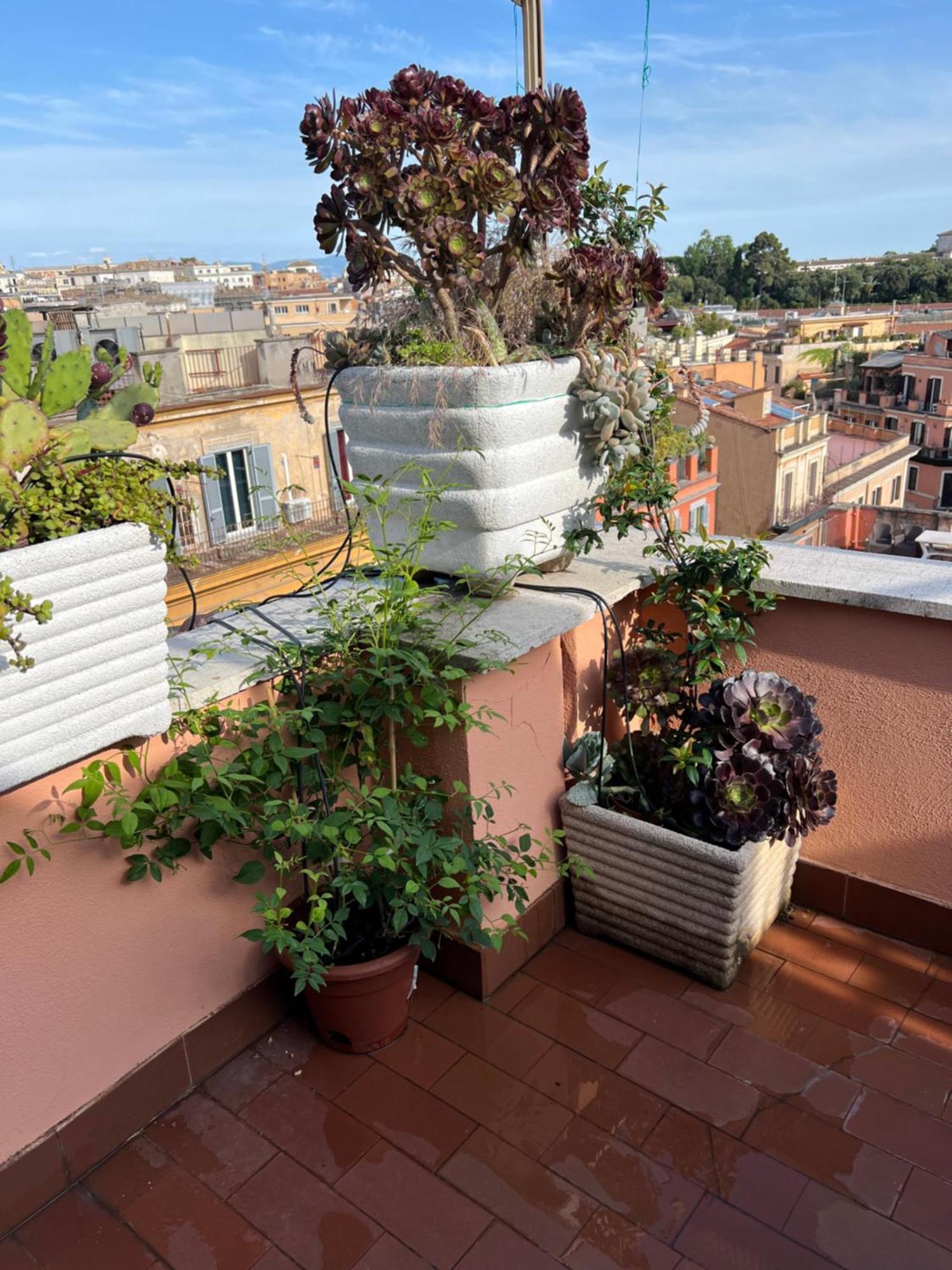 Apartamento Spanish Steps View *