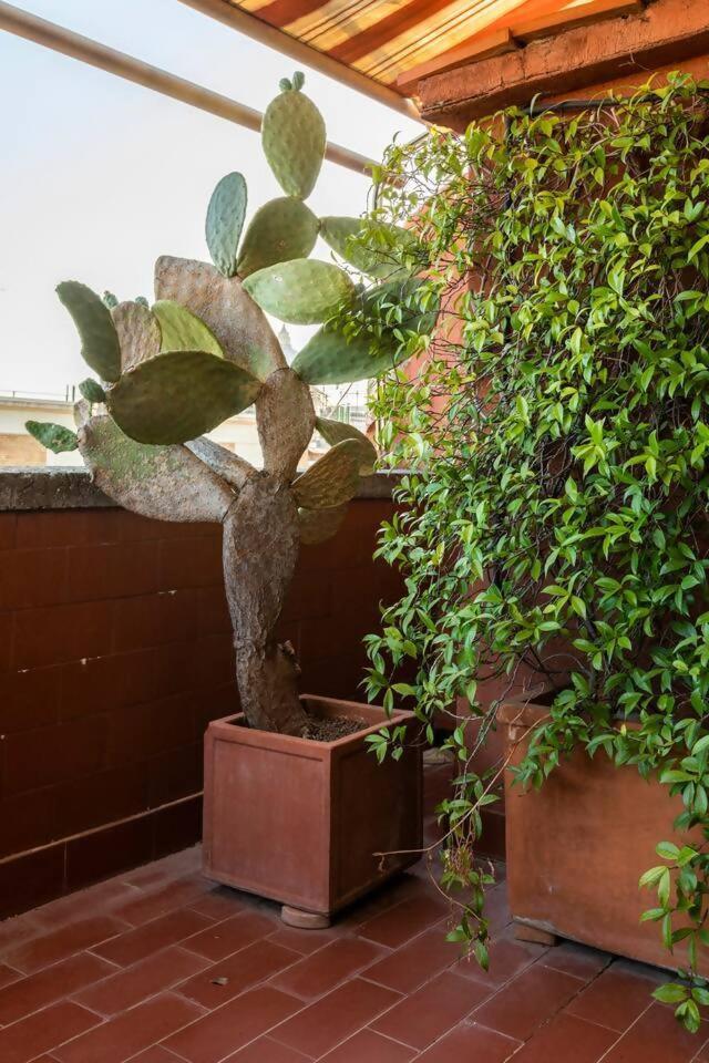 San Pietro Apartamento *