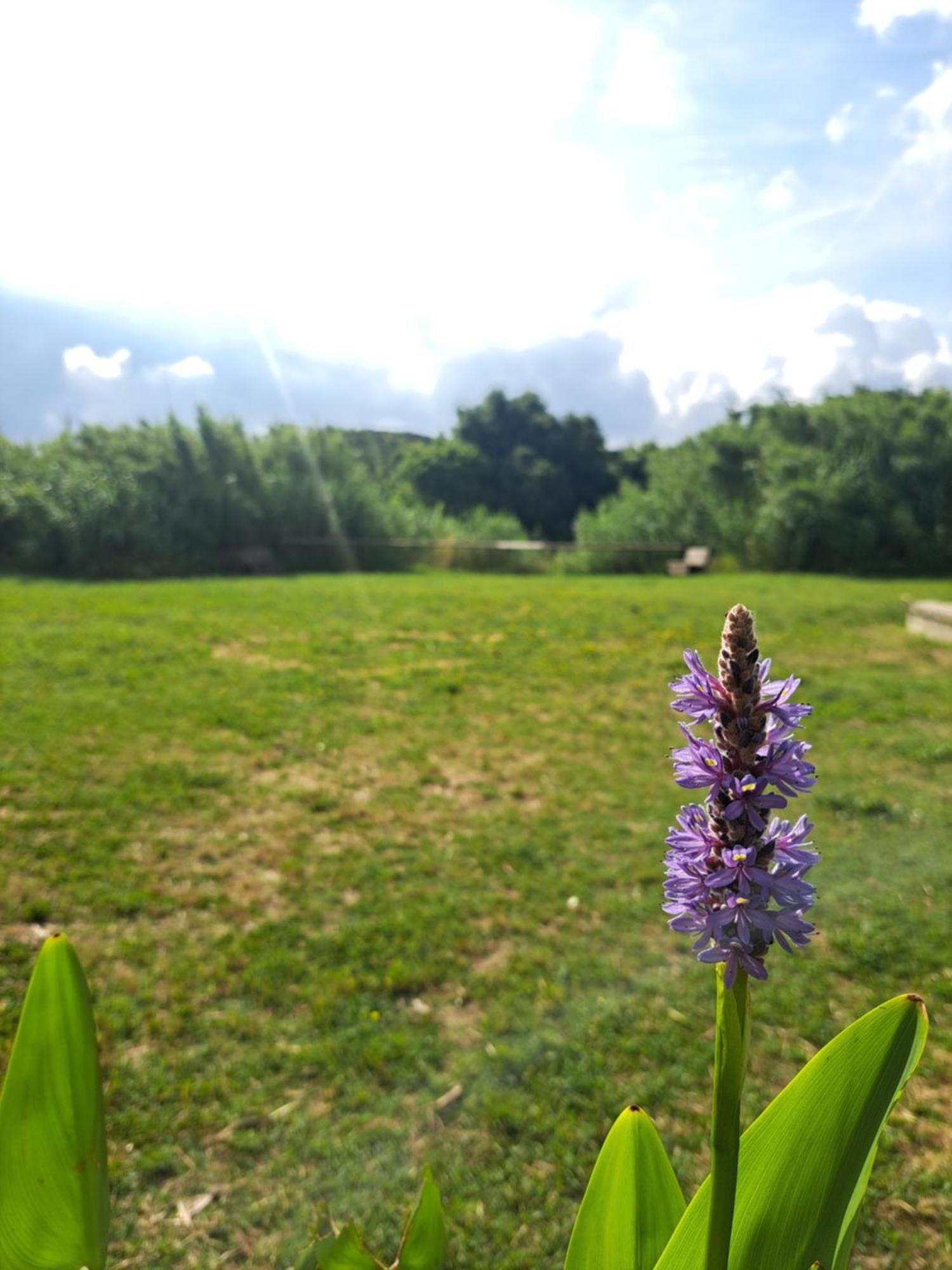 Apartamento Lacasadirosa