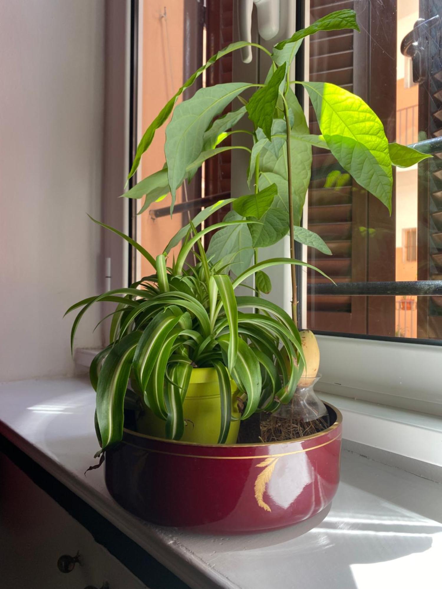 Porta Labicana House -10 Minutes From Termini Station Roma