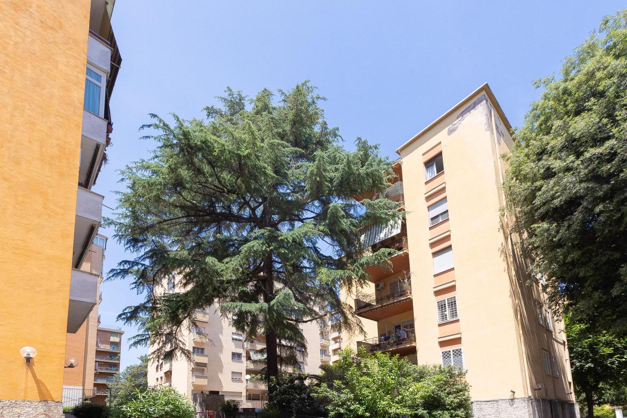 La Casa Di Rob E Cris * Roma