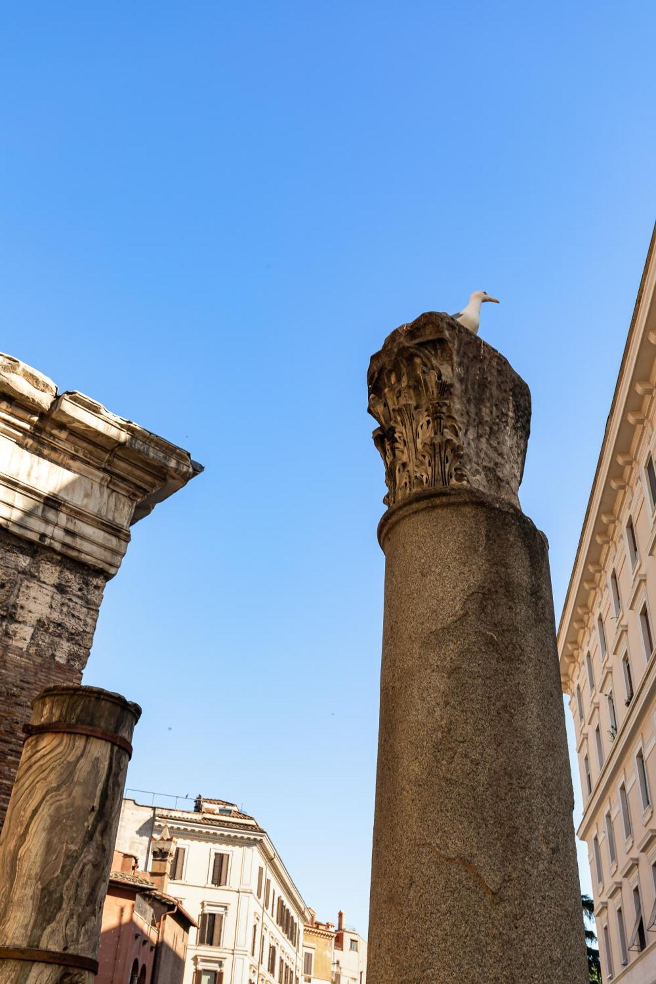 Campitelli 9 - Loft In Ancient * Roma