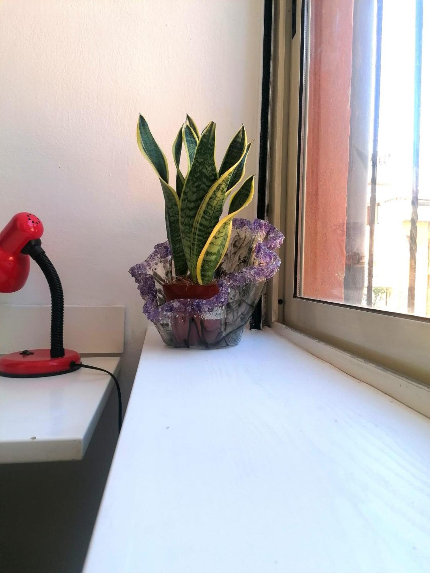 Casa Lella Al Borgo Pio, A Pochi Passi Da San Pietro Apartamento