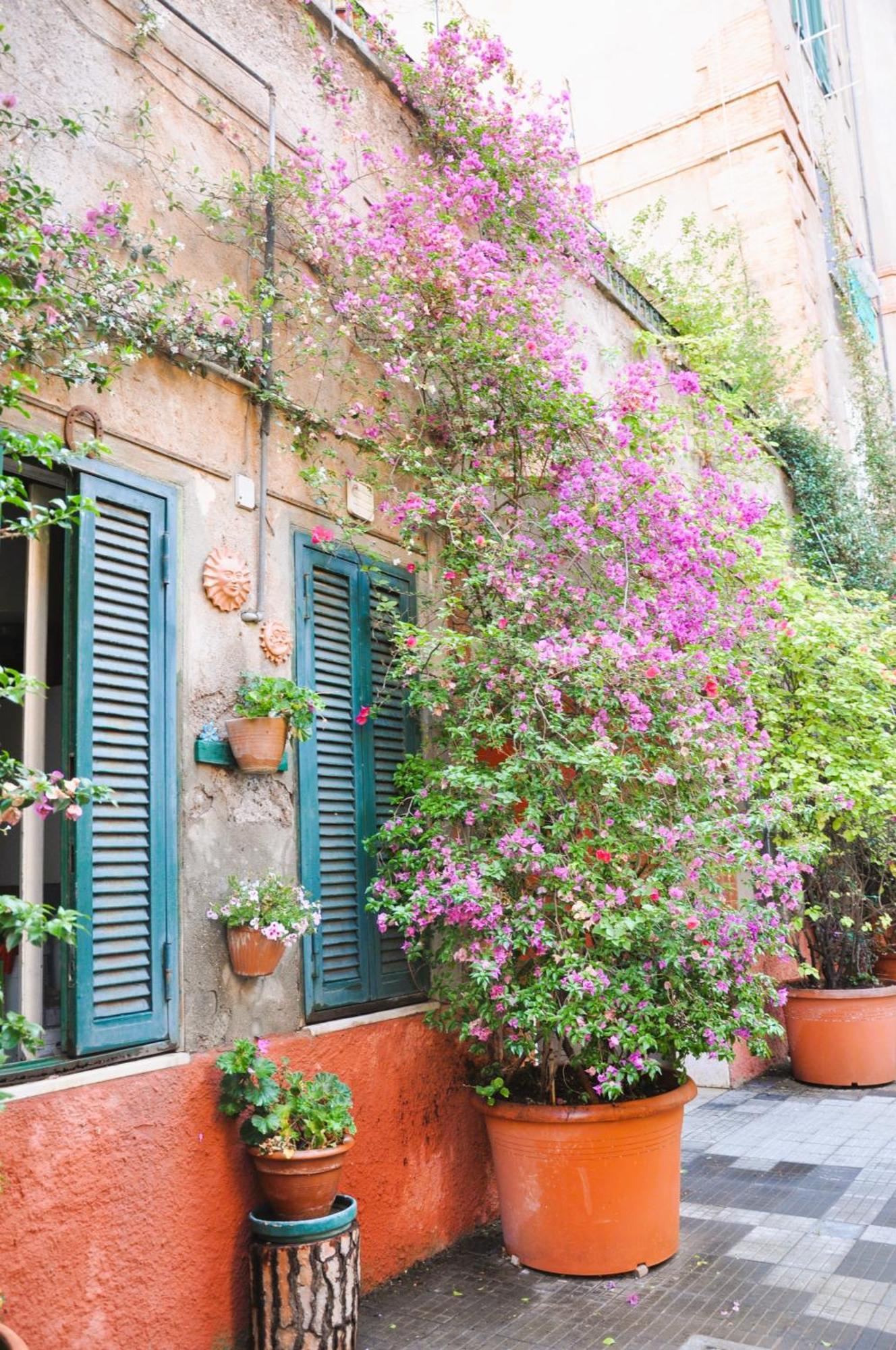 Apartamento Orange Doria Al Vaticano Roma