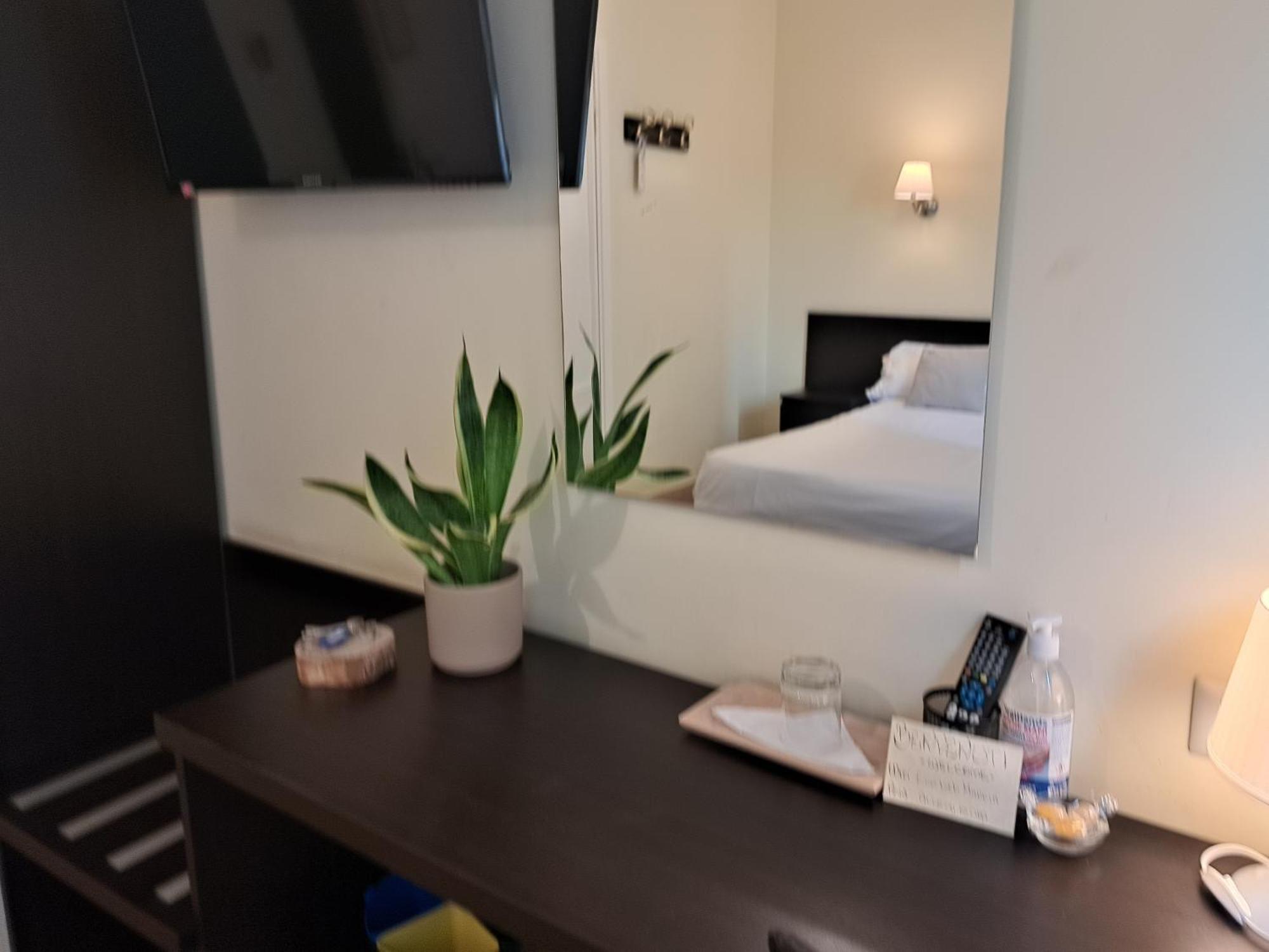 Eco Marela Roma