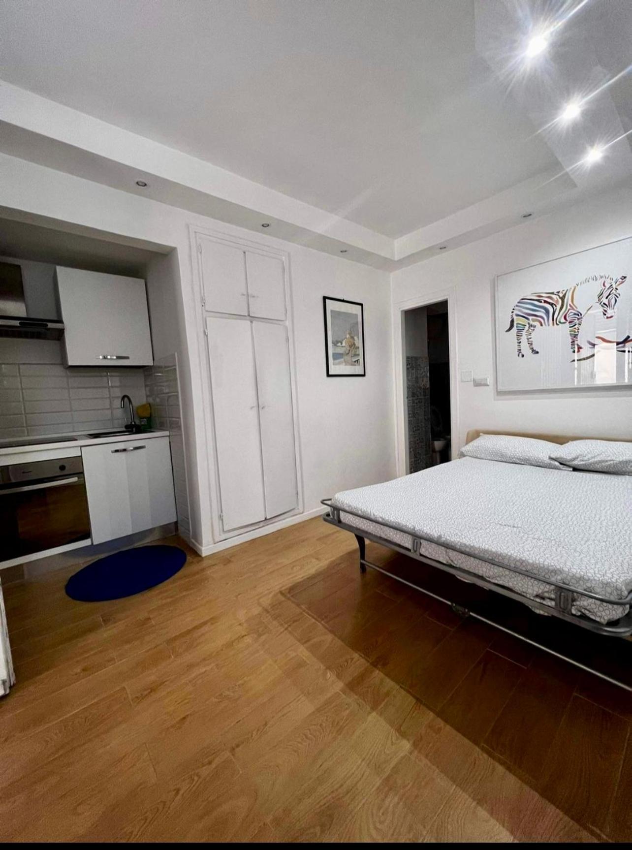 Tiny Bedsit Apartamento *