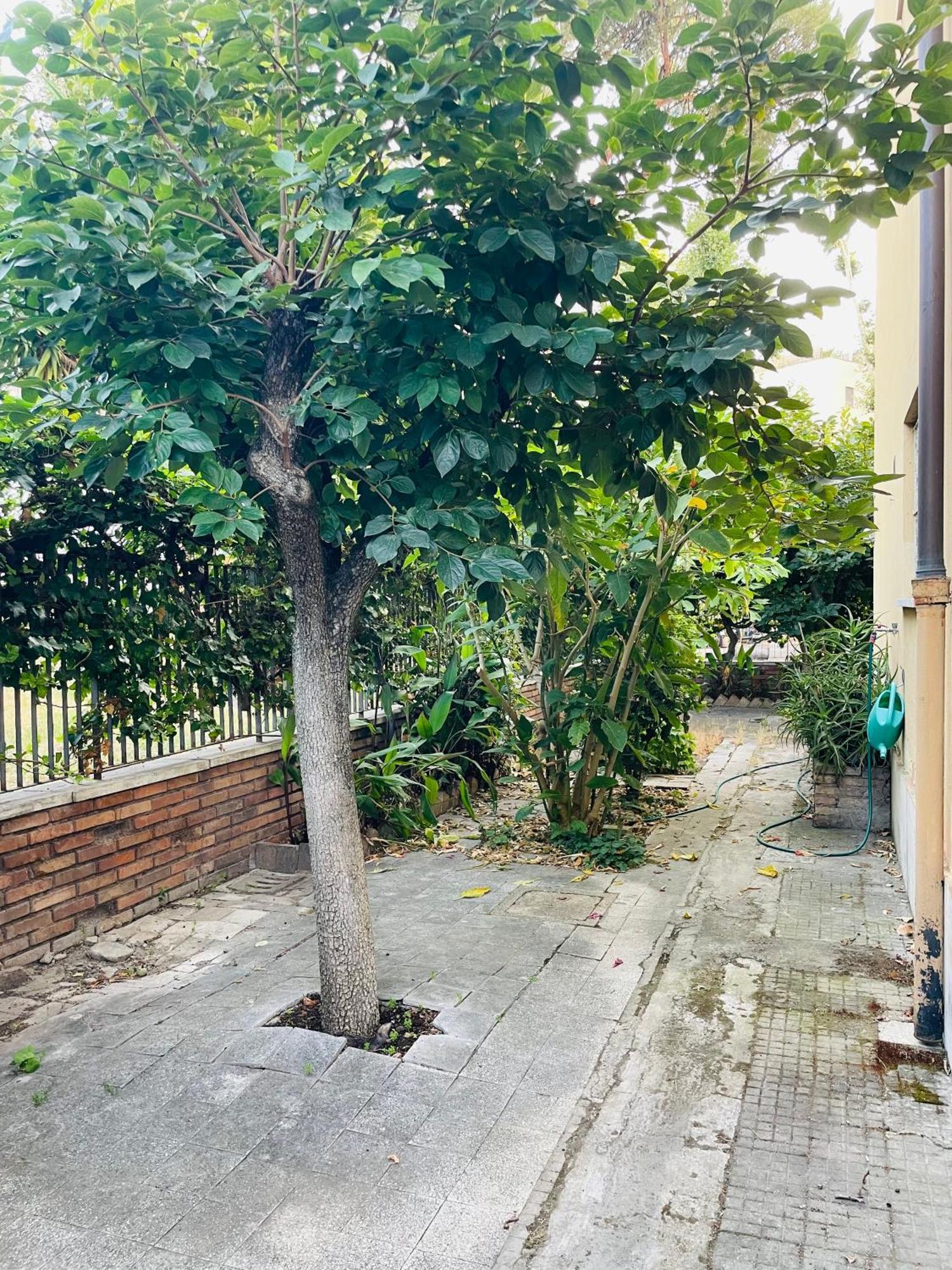 Apartment Baz-house San Paolo *