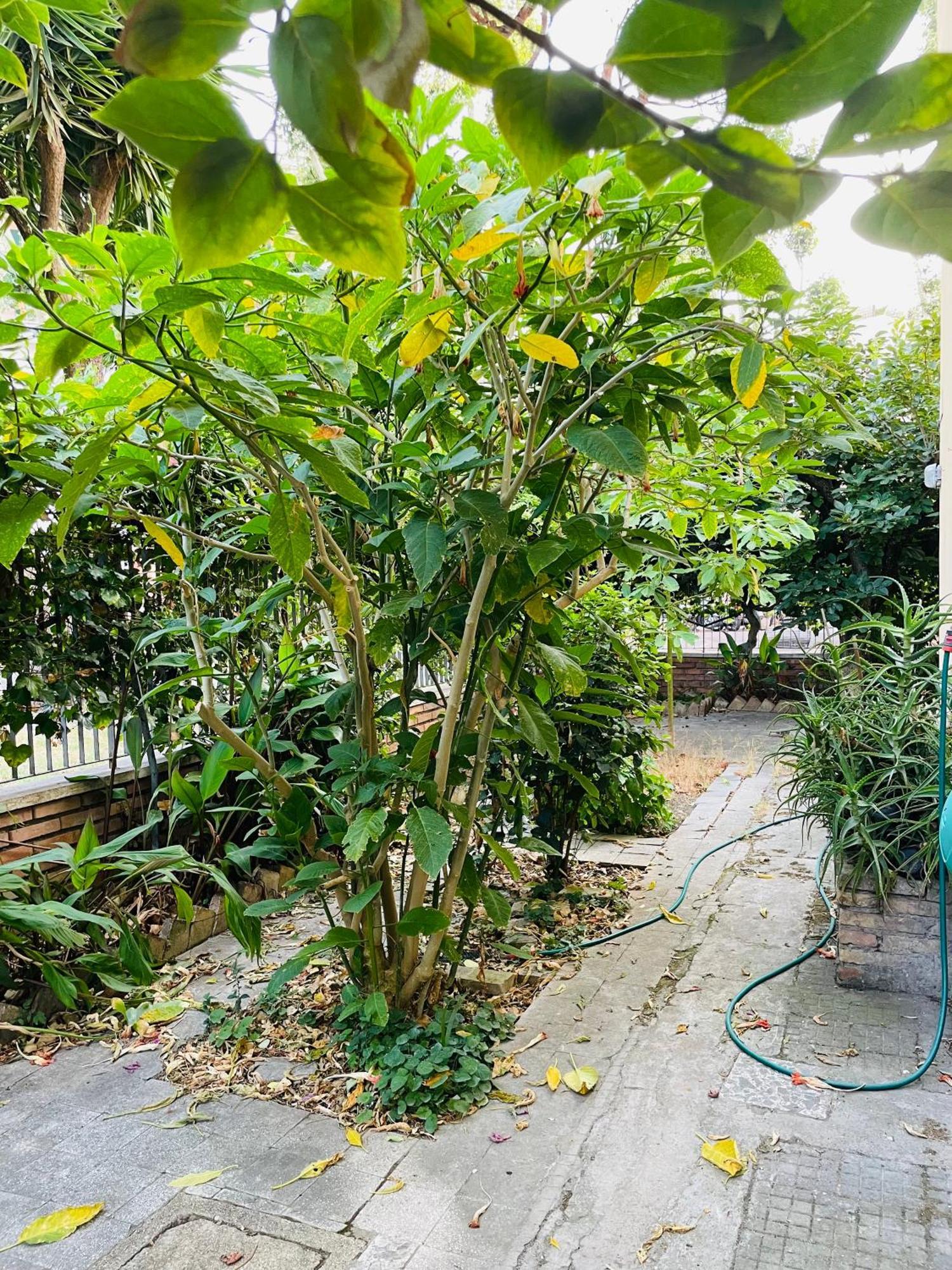 Apartment Baz-house San Paolo Rome