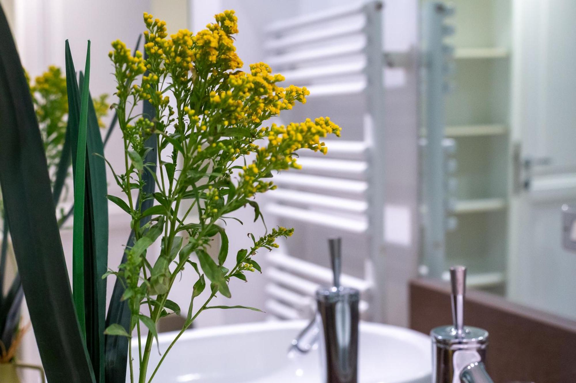 Apartamento Iflat Lina Cavalieri House