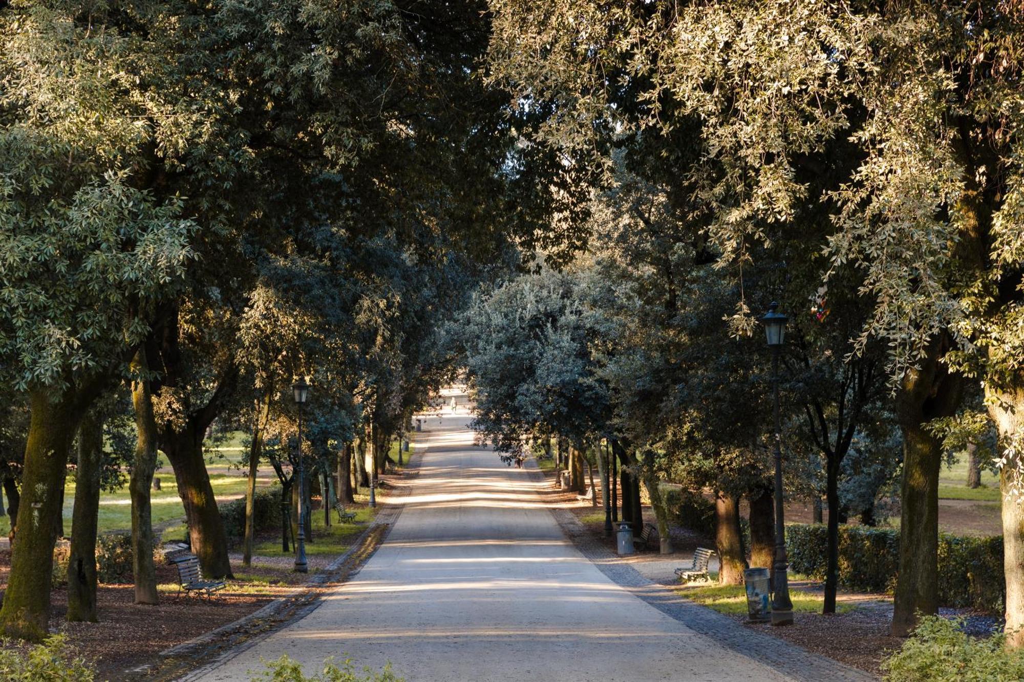Sonder Barberini