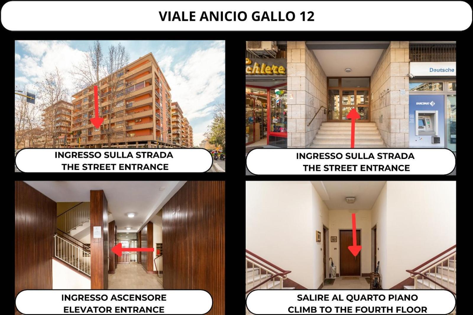 Loto Roma