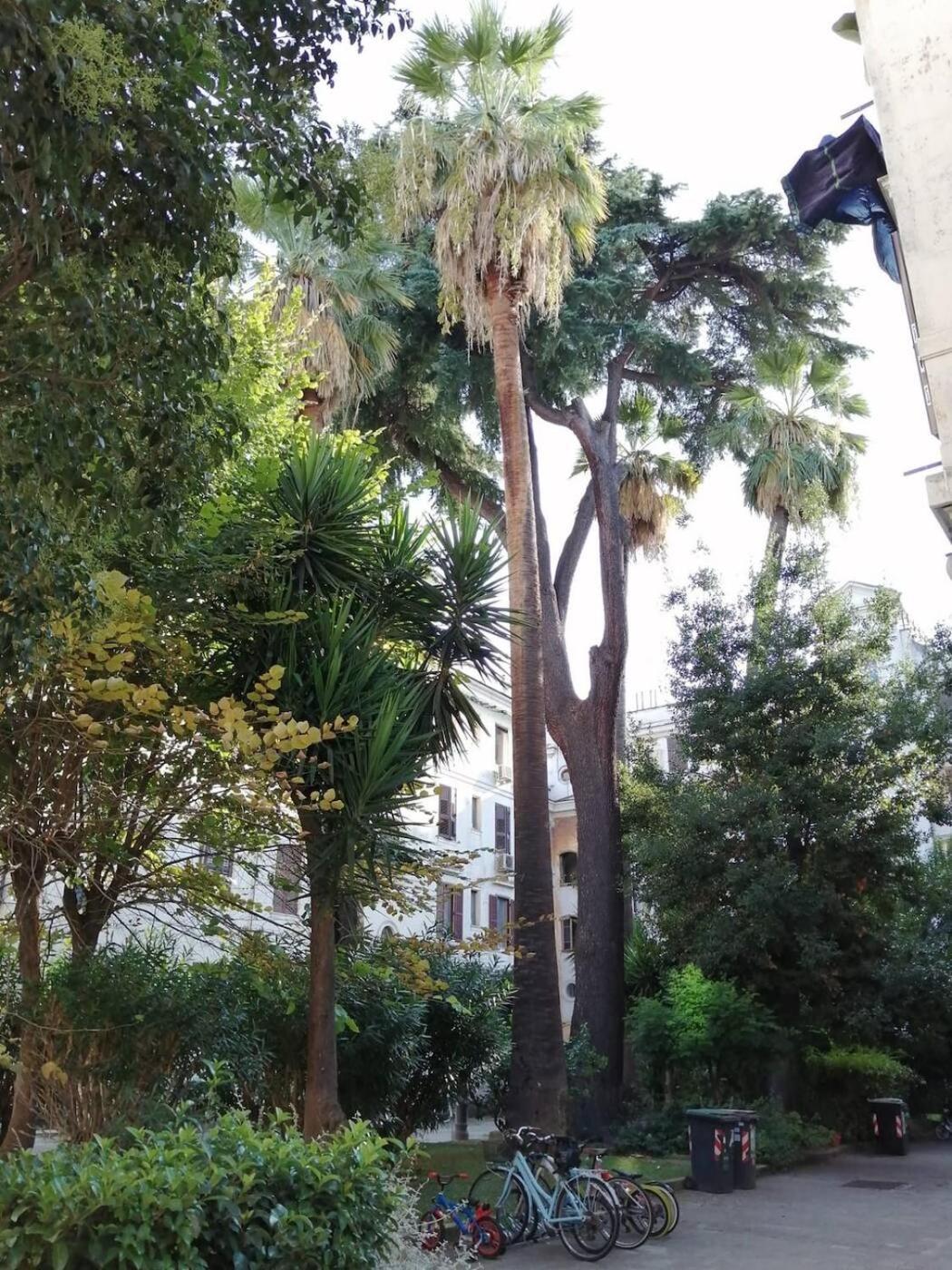 Il Cortile - Nel Cuore Di Testaccio * Roma