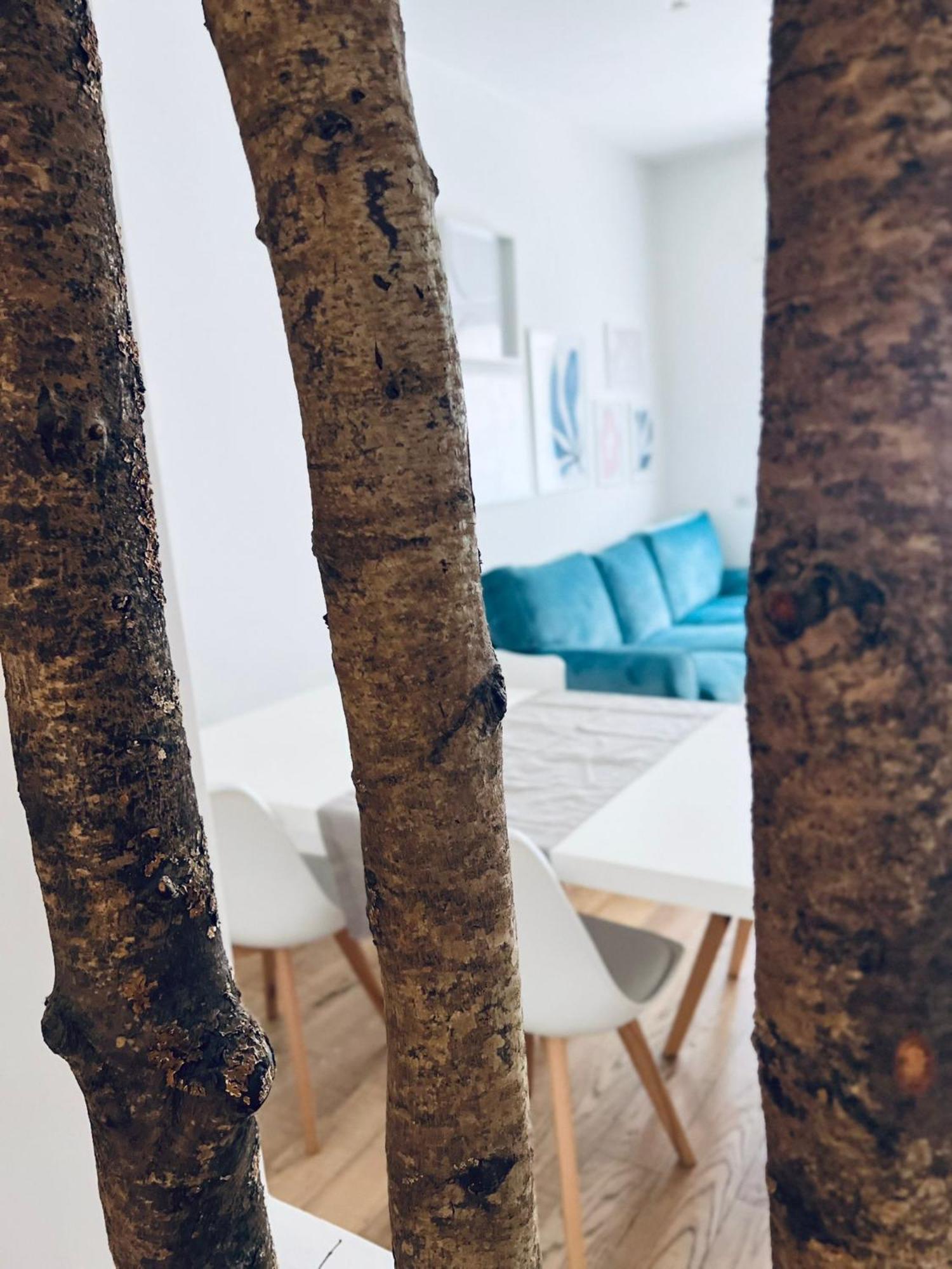 Apartamento La Casa Di Rosina Al Pigneto *