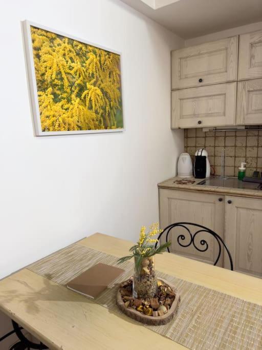 Lovely Retreat In Trastevere * Roma