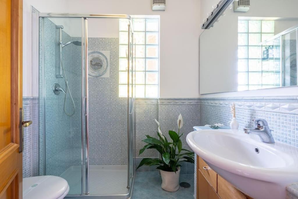 Stracult House Suggestive And Vintage-pop Appartamento Roma