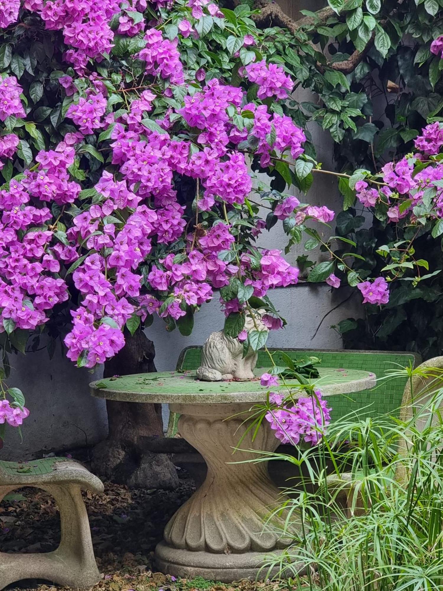 Vatican Fairytale Garden Gasthof *
