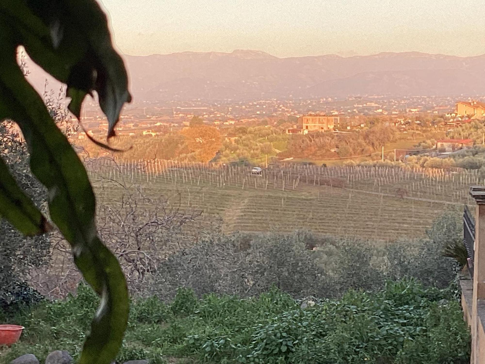 Locazione Turistica Dream House Marzia Casa de férias *