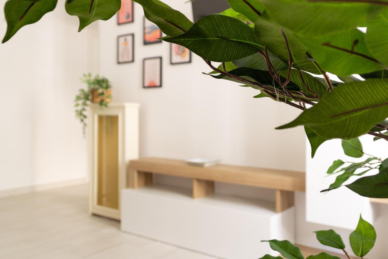 Nextovatican Holiday home Rome