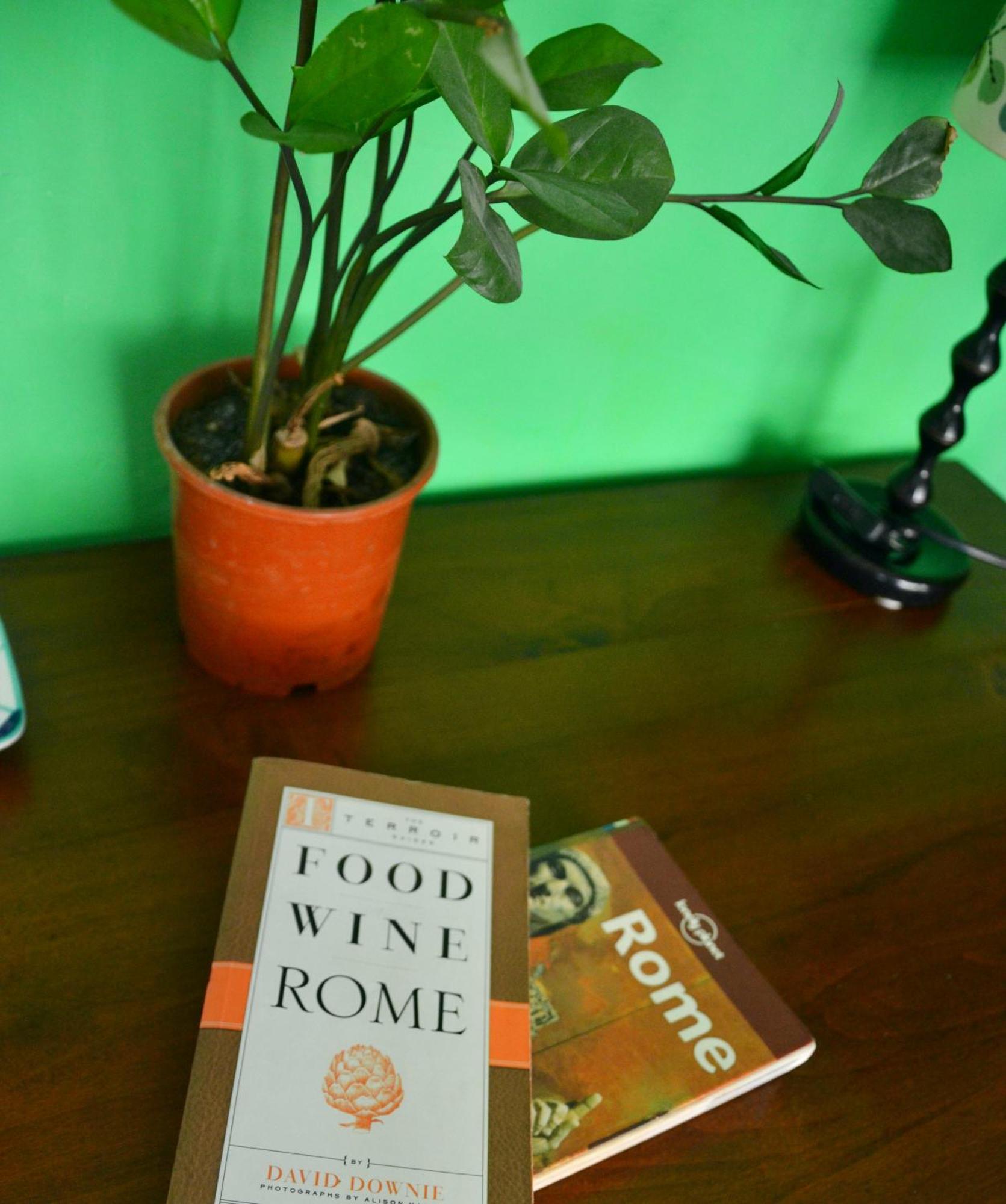 4321 Stazione Trastevere Appartamento Roma