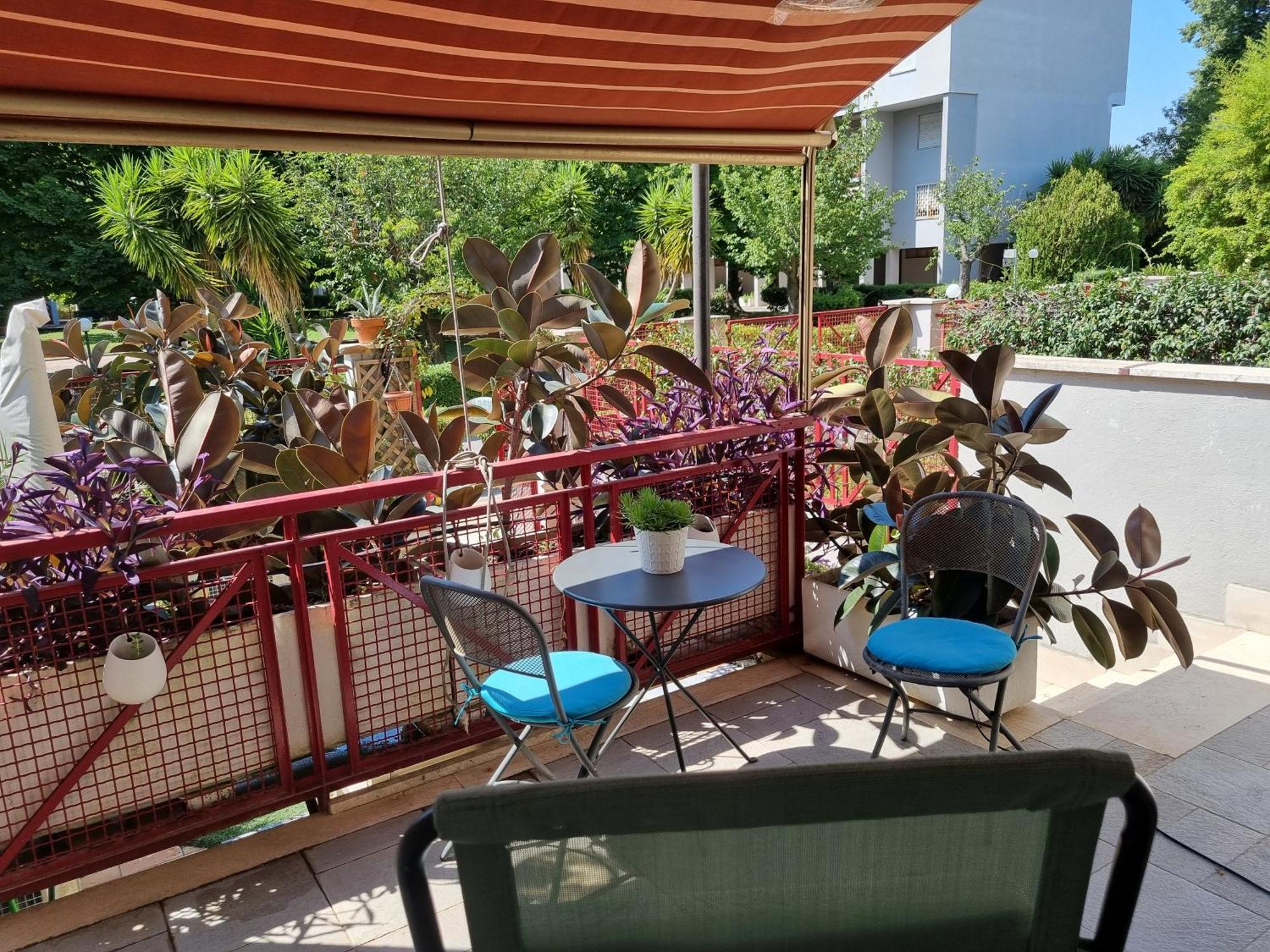 Intero Con Giardino E Parcheggio Apartamento Roma